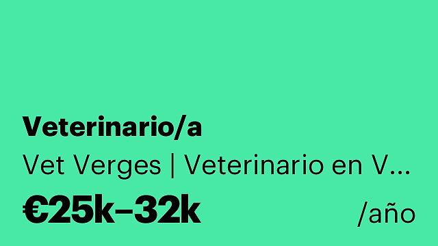 Veterinario/a