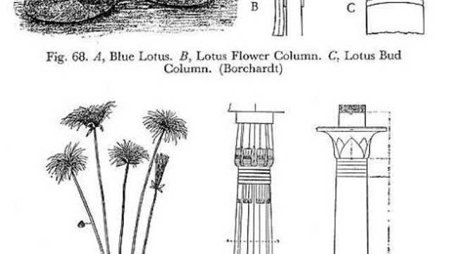 Redacción BIM y CAD