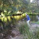 Esteban F. avatar icon