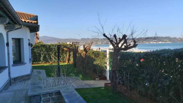 Auxiliar de Jardinería
