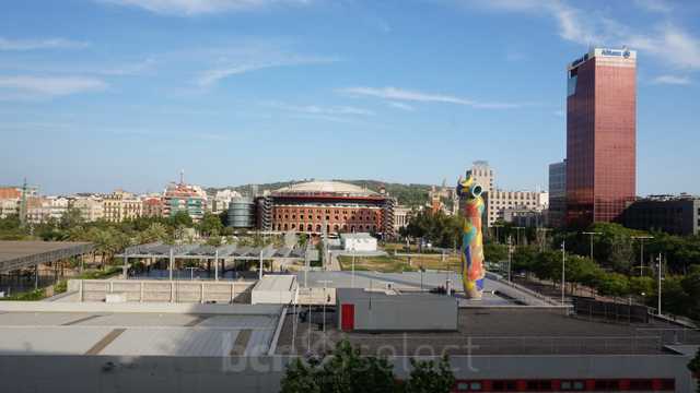 Comercial Inmobiliario