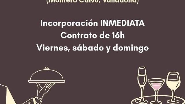 Ayudante de Camarero/a 16 H