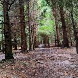 mangel L. avatar icon