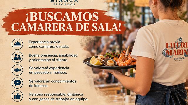 Camarero/a de Sala/Terraza