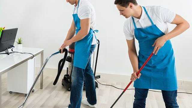 Cleaner