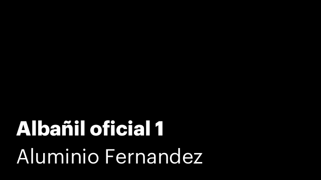 Albañil oficial 1