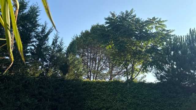 Ayudante/a de Limpieza