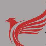 Promarcons 2024 s.l. logo