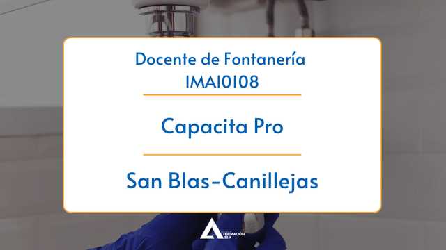 Profesor/a