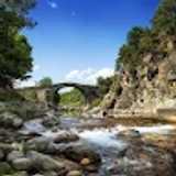 Maria J. avatar icon