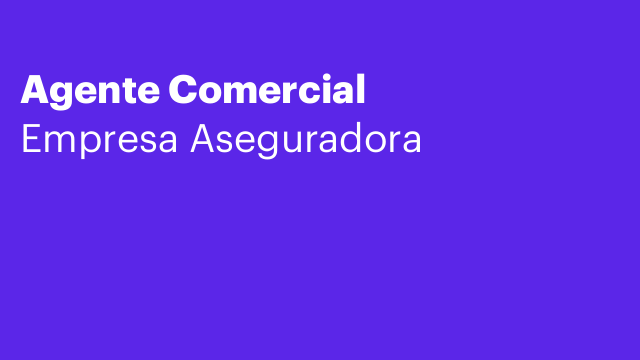 Agente Comercial