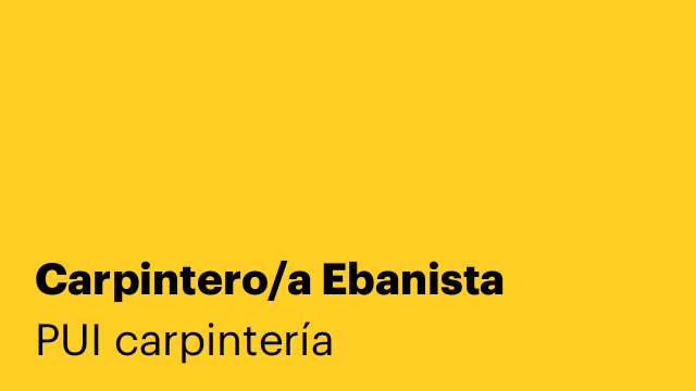 Carpintero/a Ebanista