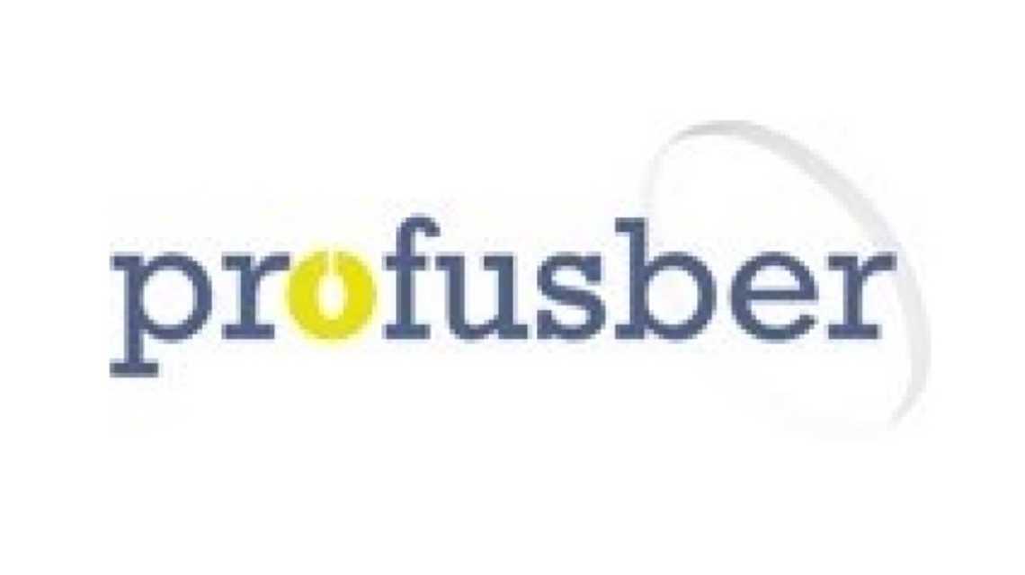 PROFUSBER S.L cover image