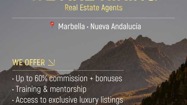 Real Estate Agent