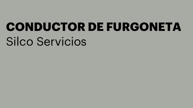 CONDUCTOR DE FURGONETA