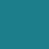 Valeria U. avatar icon