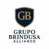 Grupo Alliance Brindusa  logo