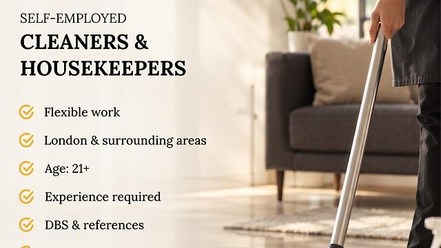 Domestic Cleaner / Professional Housekeeper