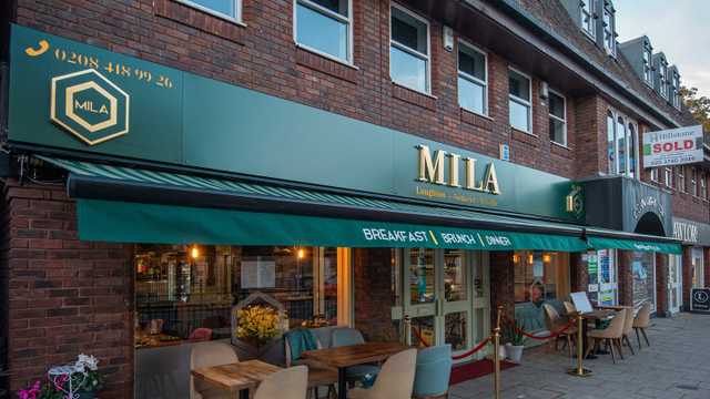 Runner and Waiter / Waitress