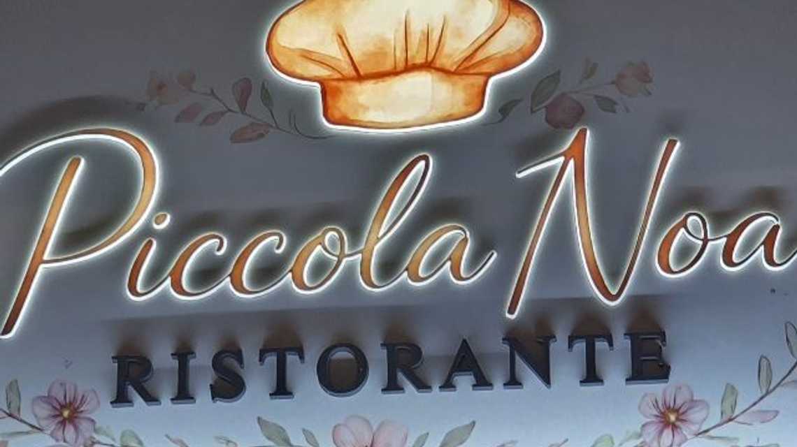 Piccola Noa cover image