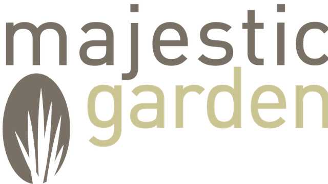 Mozo de almacen - Tranposrista.