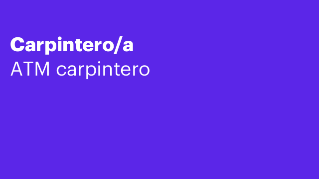 Carpintero/a
