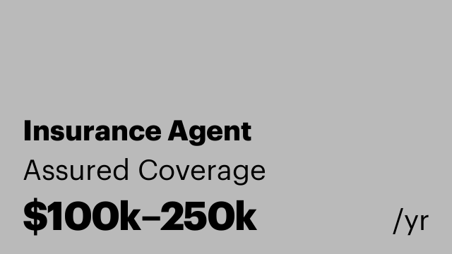 Insurance Agent