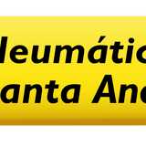 Neumáticos Santa Ana S.L. logo