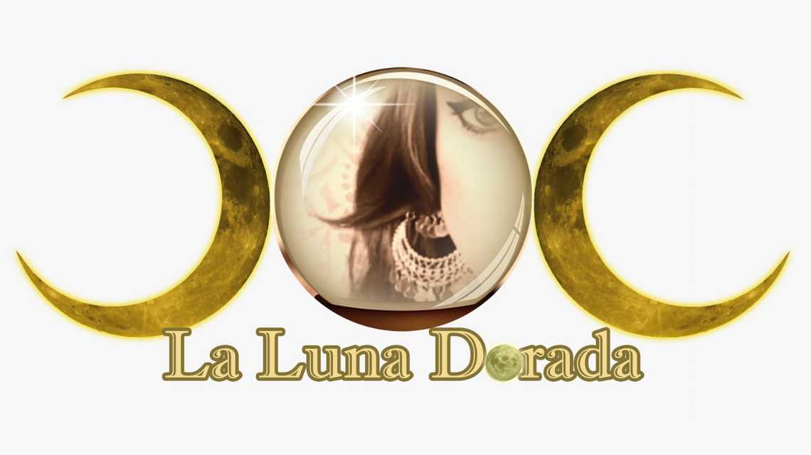 MESA Y ZAMORA PROPIEDAD, S.L. cover image