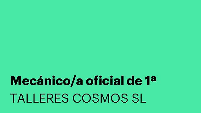 Mecánico/a oficial de 1ª