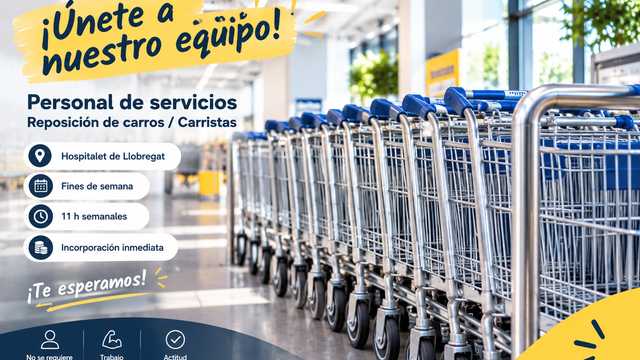 Reponedor/a