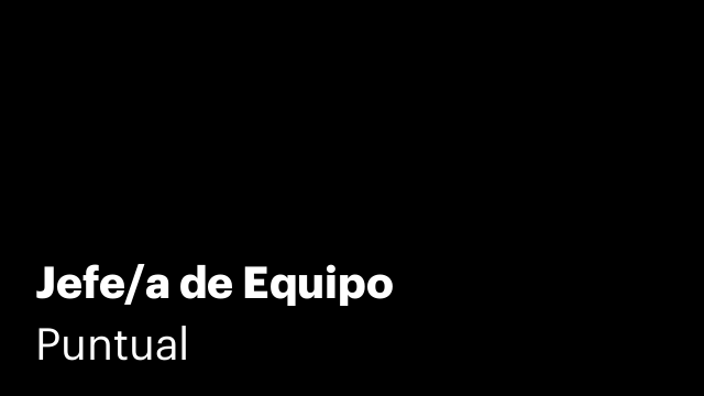 Jefe/a de Equipo