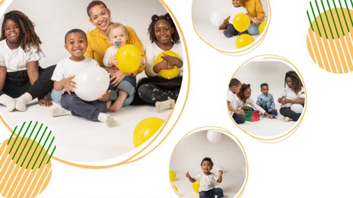 Blooming Sunflower  cover image