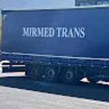 mirmed T. avatar icon