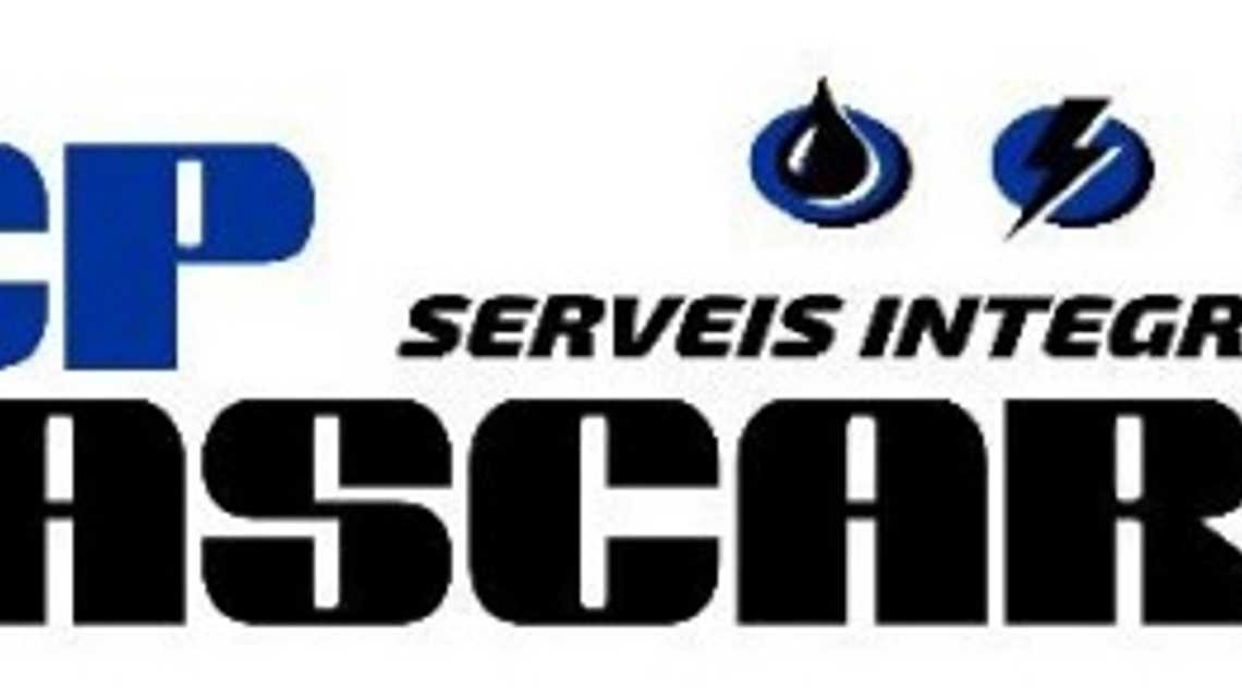 PEP MASCARO SERVEIS INTEGRALS, SL cover image