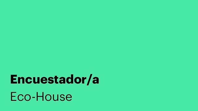 Encuestador/a