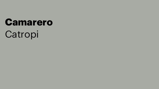 Camarero