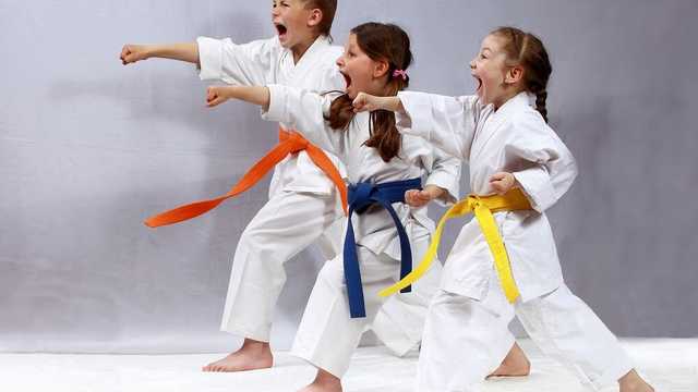 MONITOR/A DE KARATE CON NIÑOS/AS - EXTRAESCOLARES- 2025