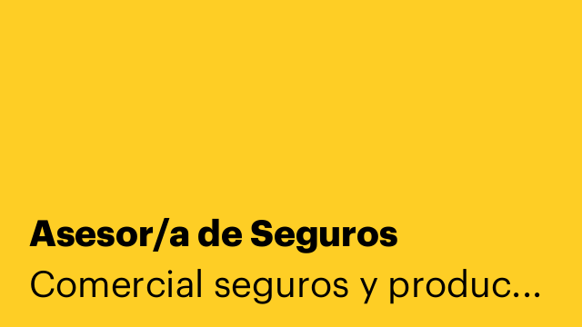 Asesor/a de Seguros