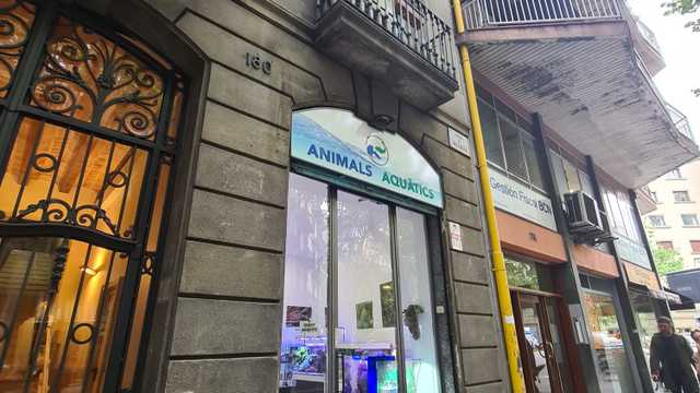 Mantenimiento acuarios y dependiente tienda