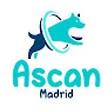 ASCAN M. avatar icon
