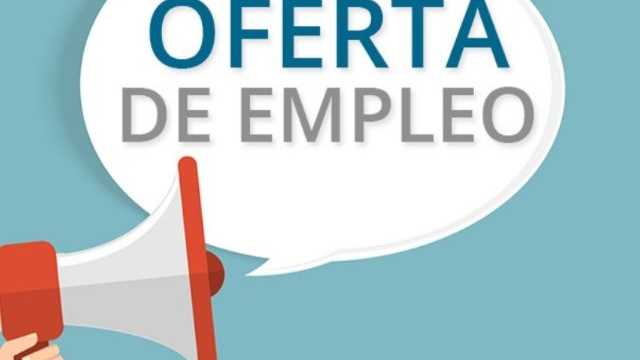Conductor- reparto de paqueteria
