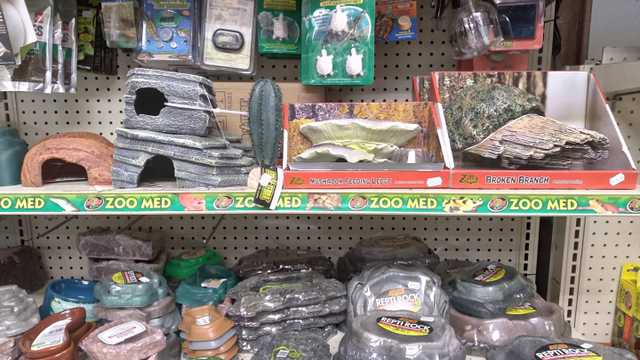 aquarium maintenance/cashier/stocking