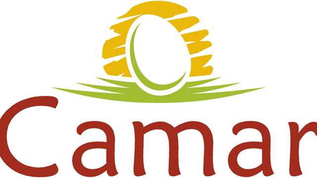 Operario/a de Produccion - Industria Alimentaria