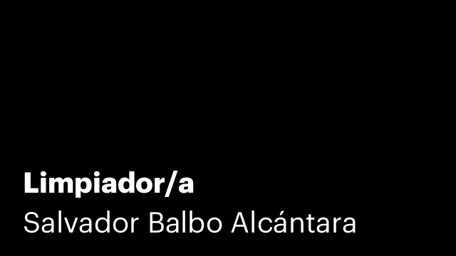 Limpiador/a