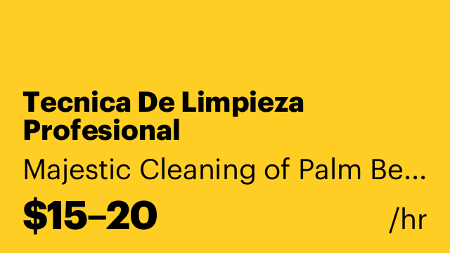 Tecnica De Limpieza Profesional
