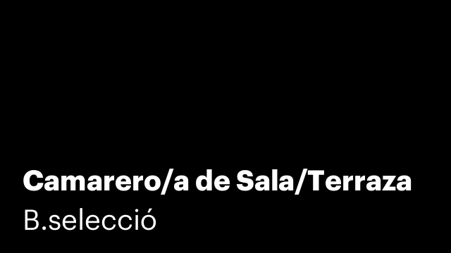 Camarero/a de Sala/Terraza