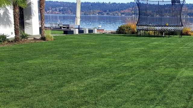 Landscape Gardener