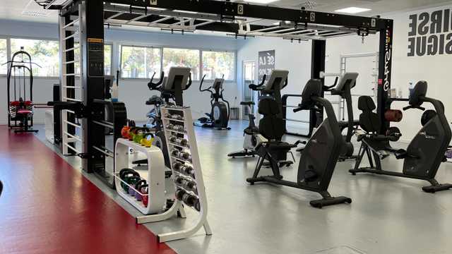 Entrenador/a
