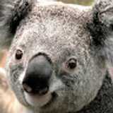 ALIMENTART avatar icon